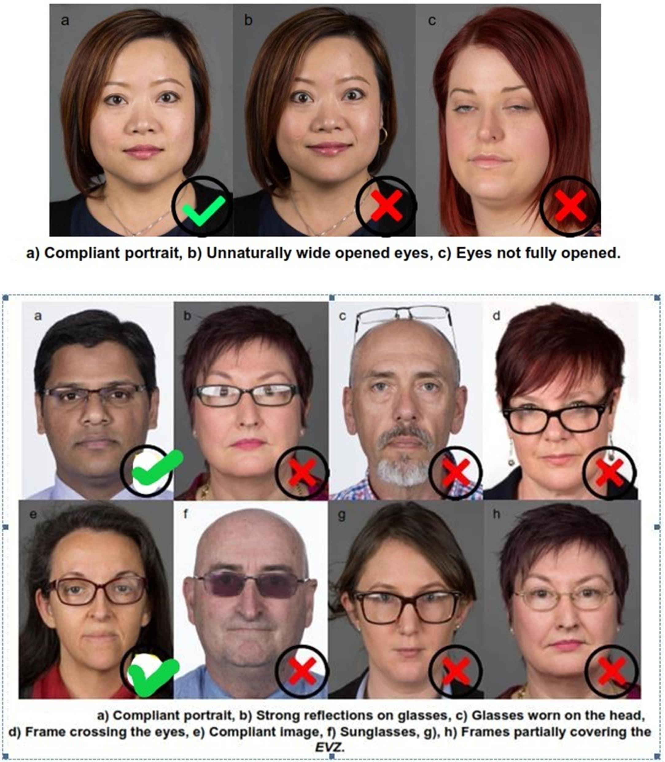 Photo Specifications