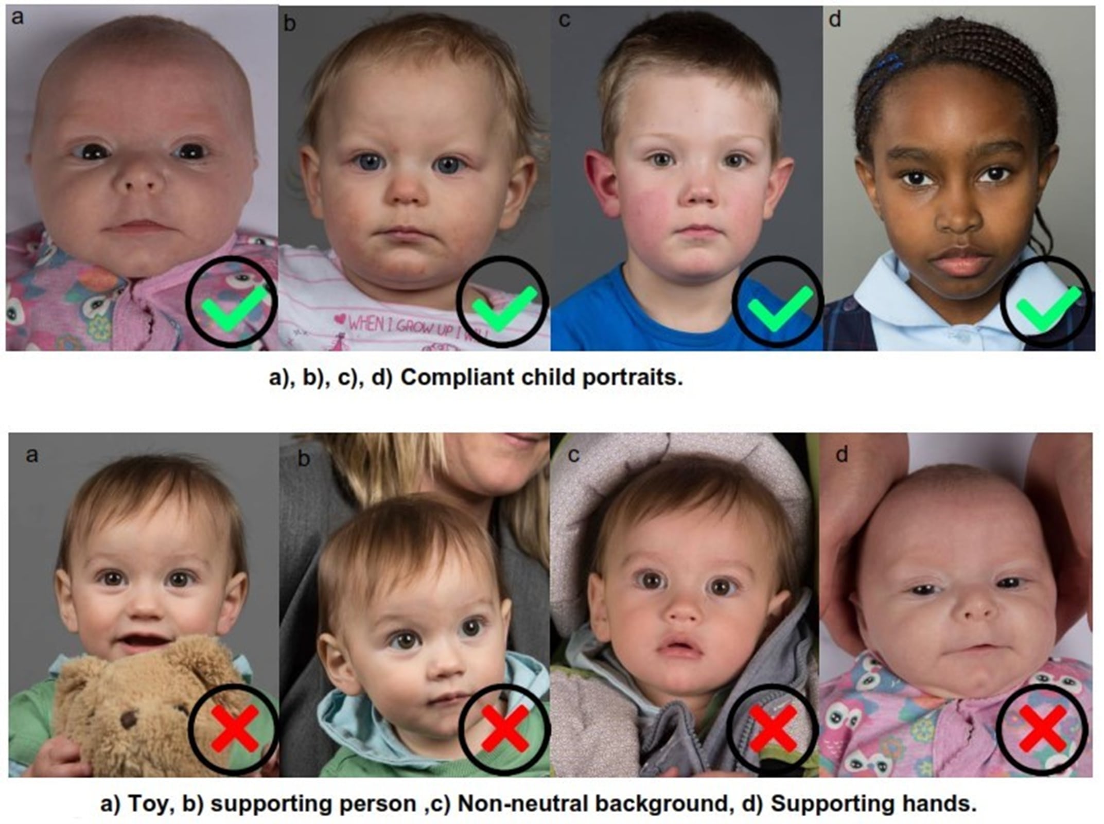 Photo Specifications