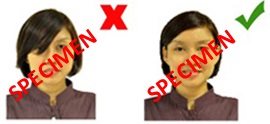 Photo Guidelines Hair