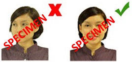 Photo Guidelines Face Camera